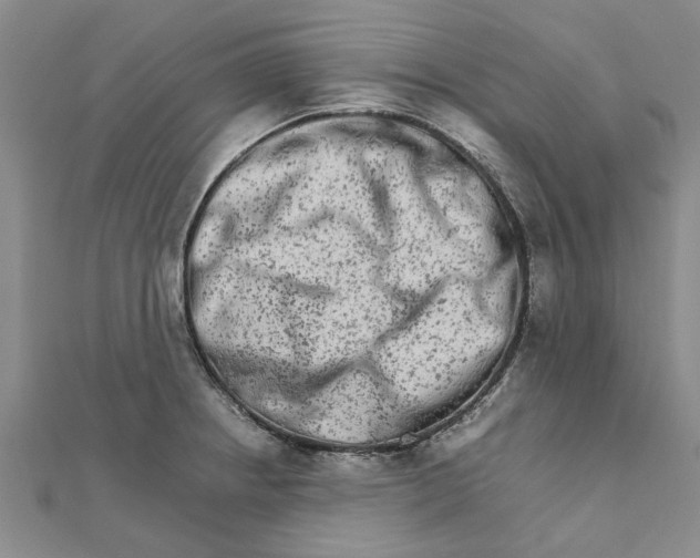 X0000111681234200908141443