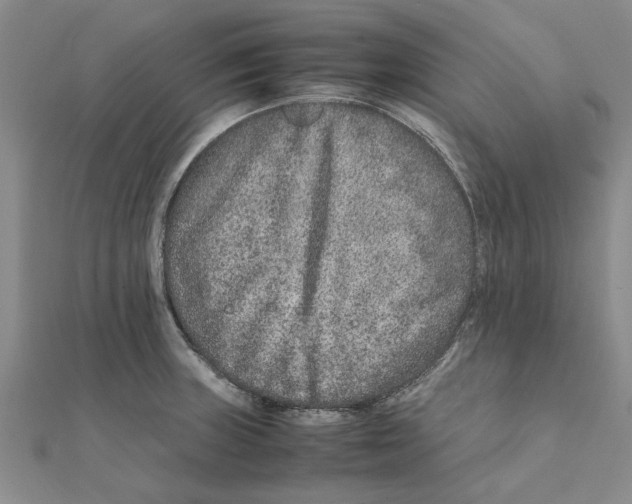 X0000111681235200908141443