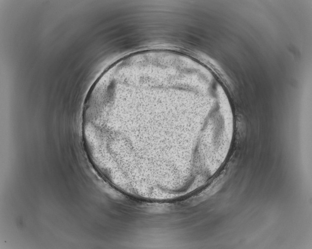 X0000111681236200908141443