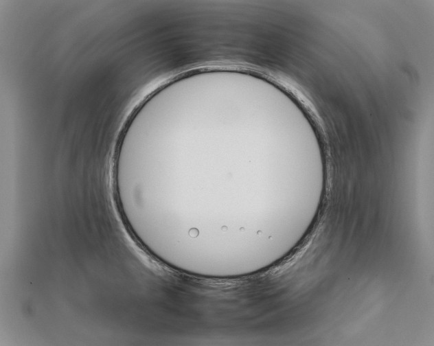 X0000111681237200908141443