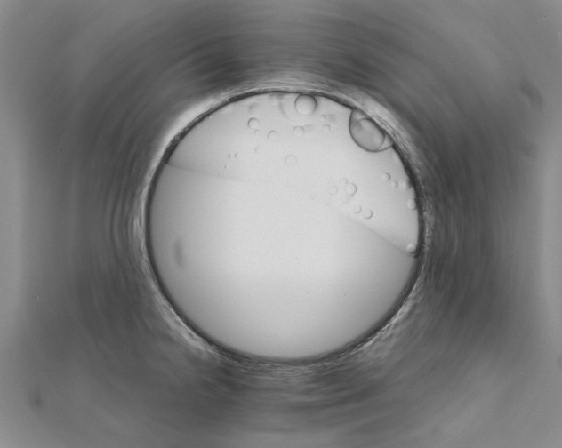 X0000111681238200908141443