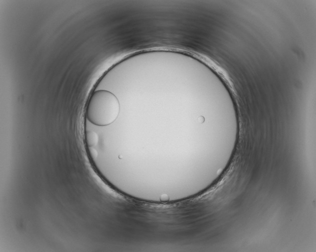 X0000111681239200908141443