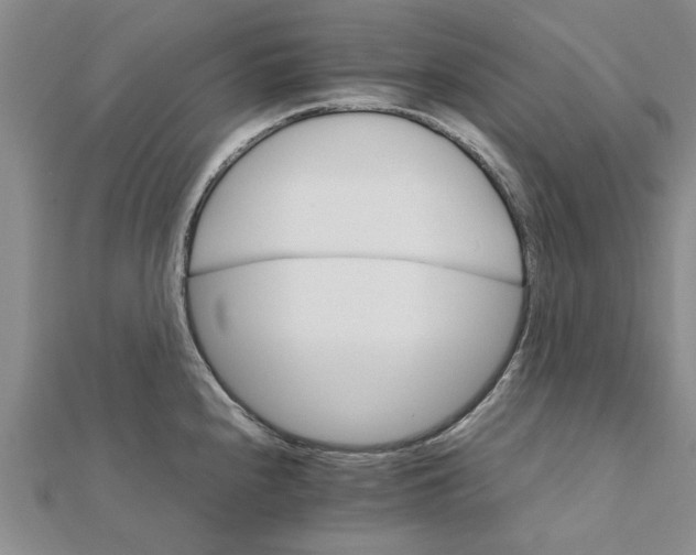 X0000111681240200908141443