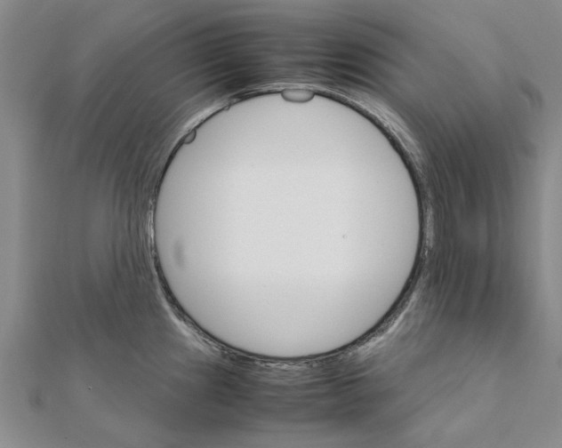 X0000111681241200908141443