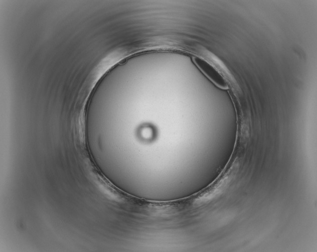 X0000111681242200908141443