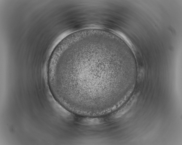 X0000111681243200908141443