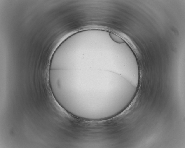 X0000111681244200908141443