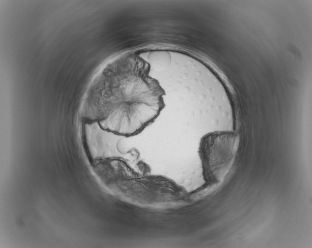 X0000111681245200908141443