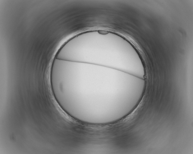 X0000111681246200908141443