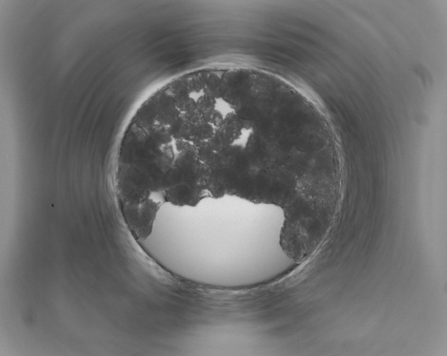 X0000111681248200908141443