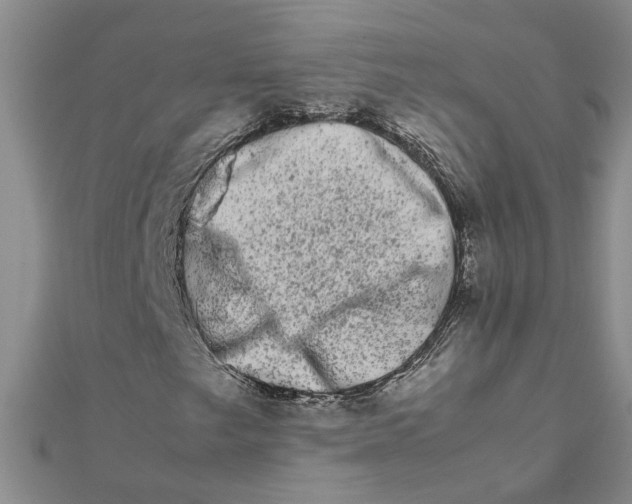 X0000111681249200908141442