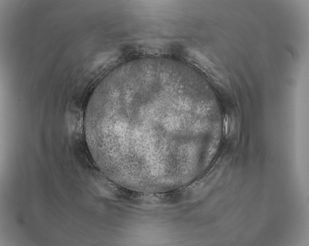 X0000111681251200908141442