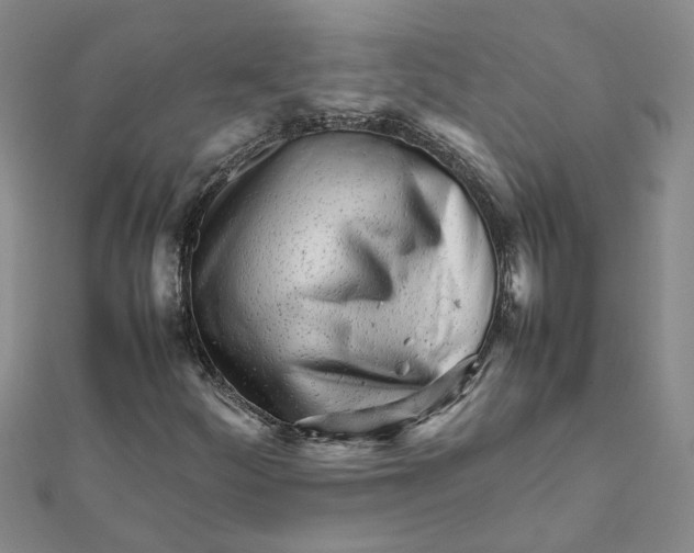 X0000111681252200908141442