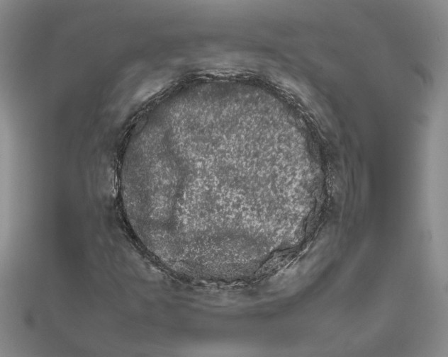 X0000111681253200908141442