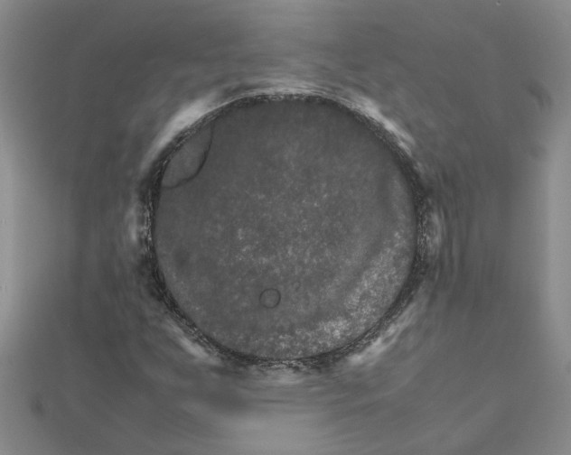 X0000111681255200908141442