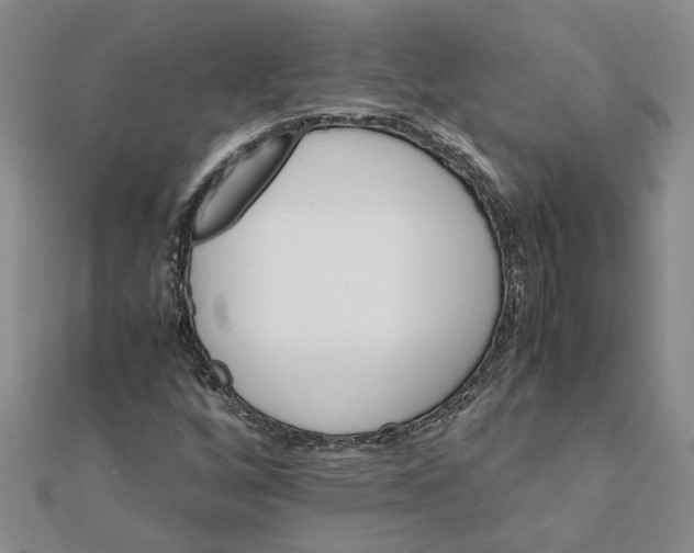 X0000111681256200908141442