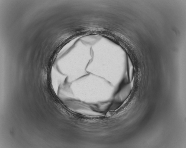 X0000111681257200908141442