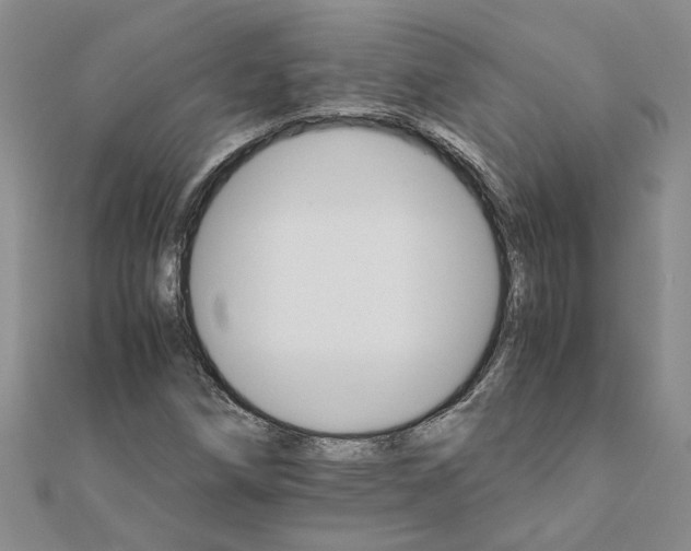 X0000111681258200908141442