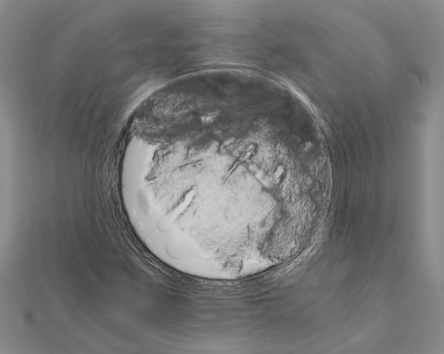 X0000111681259200908141442