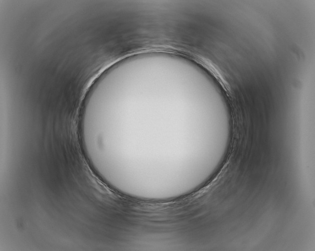 X0000111681260200908141442