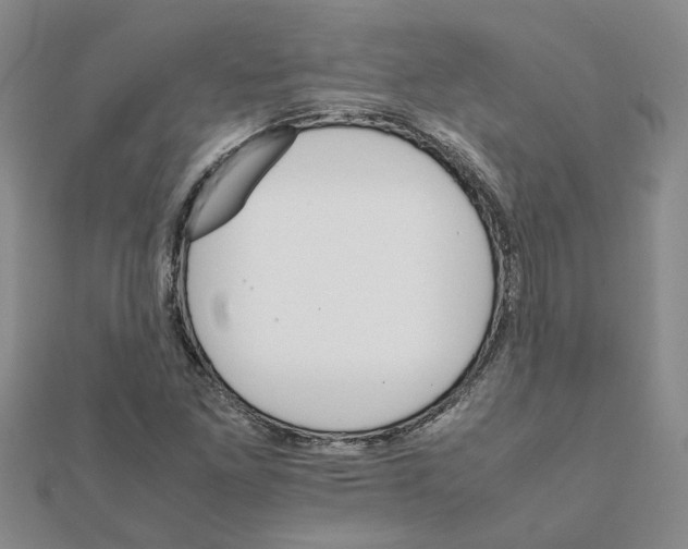 X0000111681261200908141442