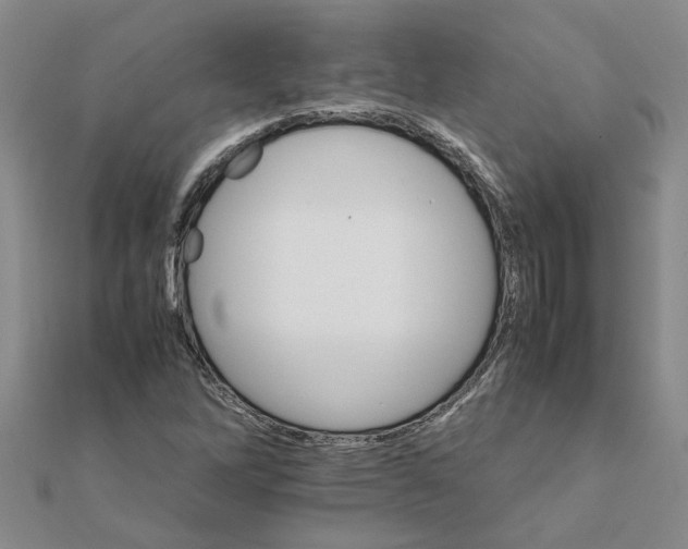 X0000111681262200908141442