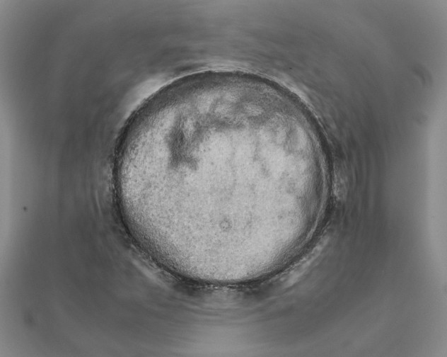 X0000111681263200908141442