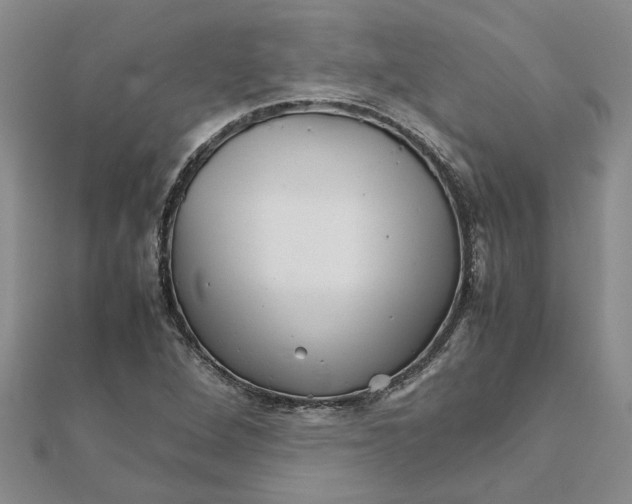 X0000111681264200908141442