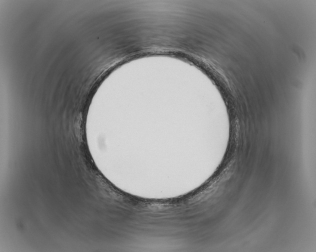 X0000111681265200908141442