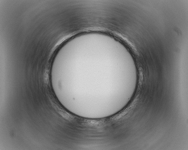 X0000111681266200908141442