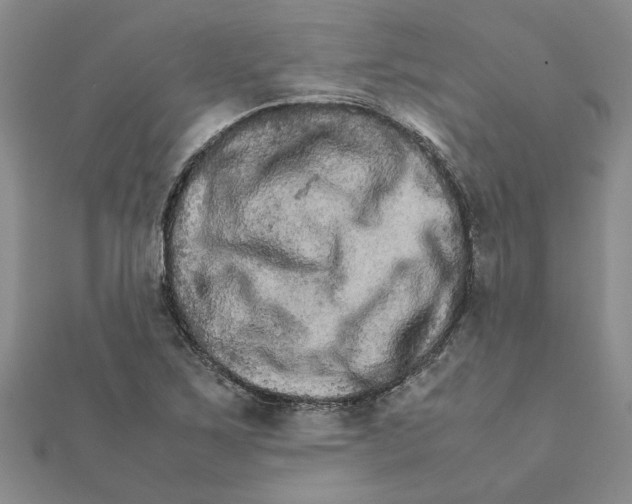 X0000111681267200908141442