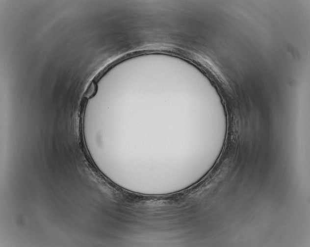 X0000111681268200908141442