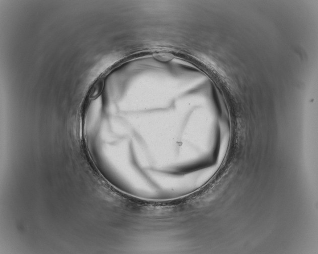 X0000111681269200908141442