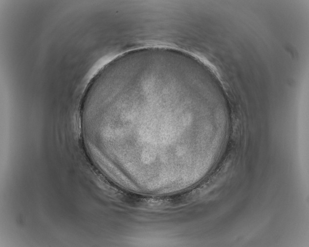 X0000111681271200908141442