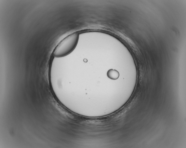 X0000111681272200908141442