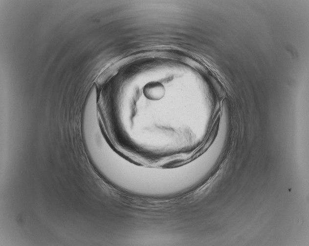 X0000111681273200908141442