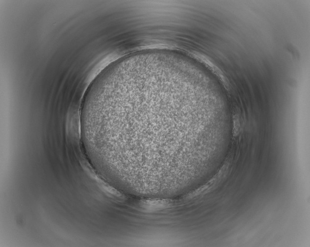 X0000111681274200908141442