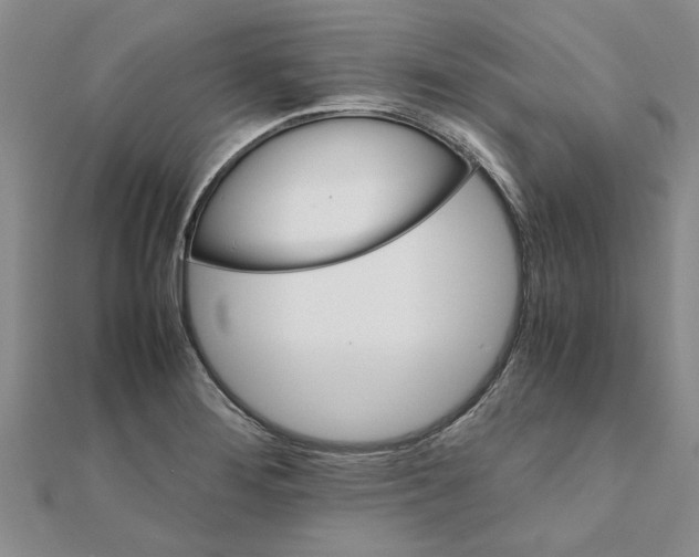 X0000111681276200908141442