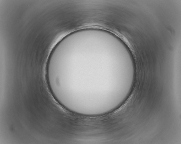 X0000111681277200908141442