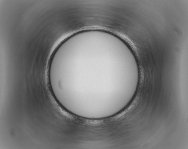 X0000111681278200908141442