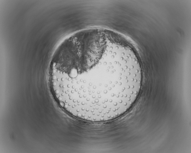 X0000111681279200908141442