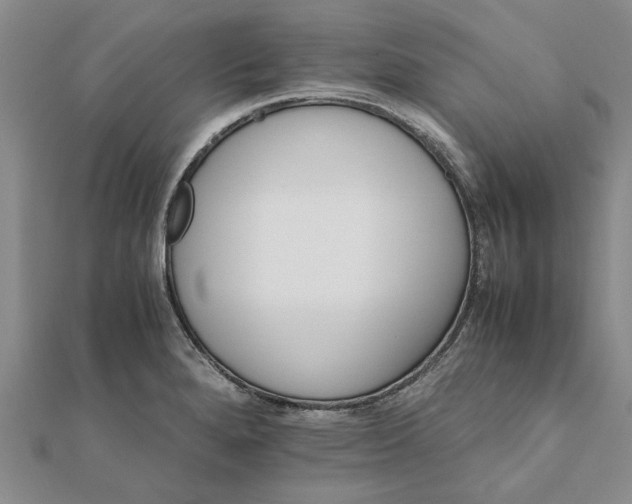 X0000111681280200908141442