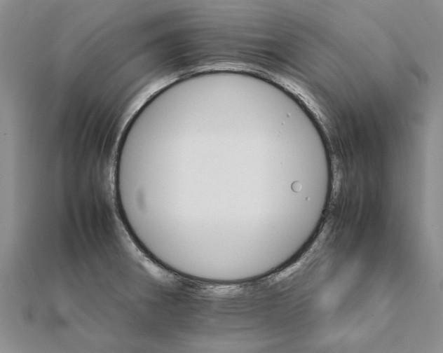 X0000111681282200908141442