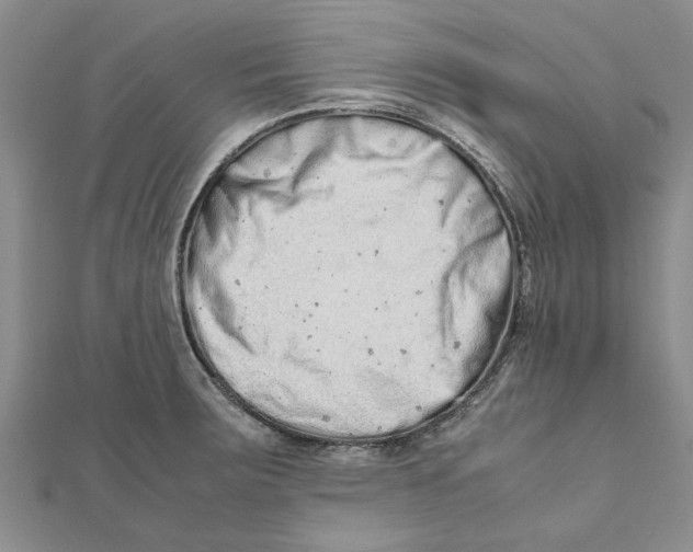 X0000111681283200908141442