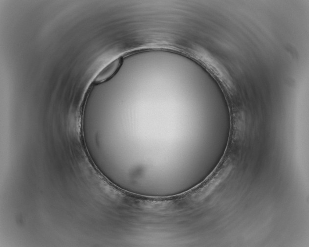 X0000111681284200908141442