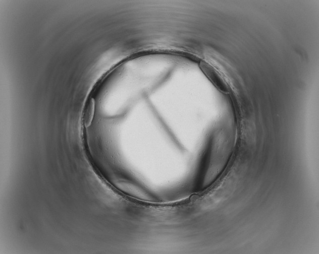 X0000111681285200908141442