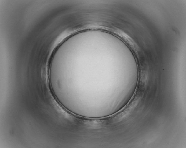 X0000111681286200908141442