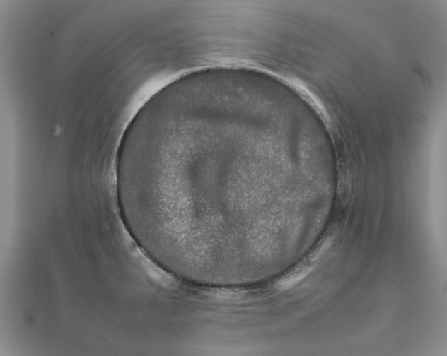 X0000111681287200908141442