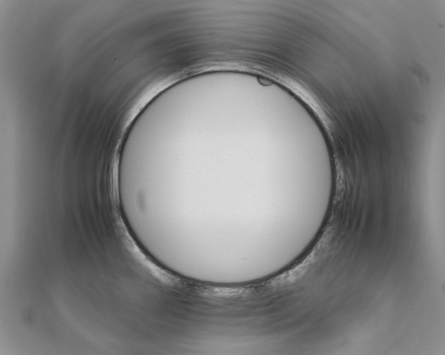 X0000111681290200908141442