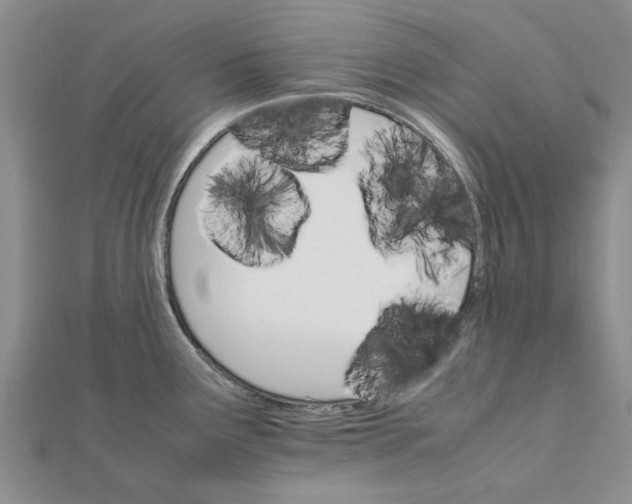 X0000111681291200908141442